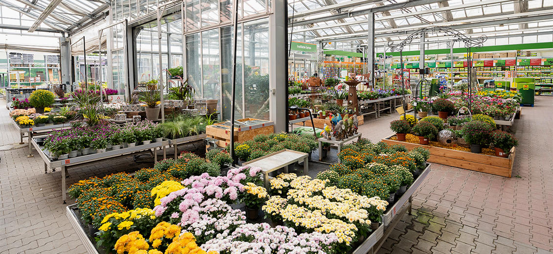 OBI Gartencenter Würzburg-Hafen