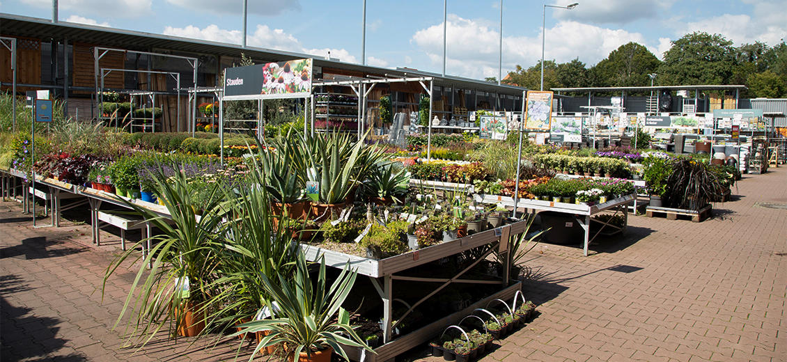 OBI Gartencenter Pirna