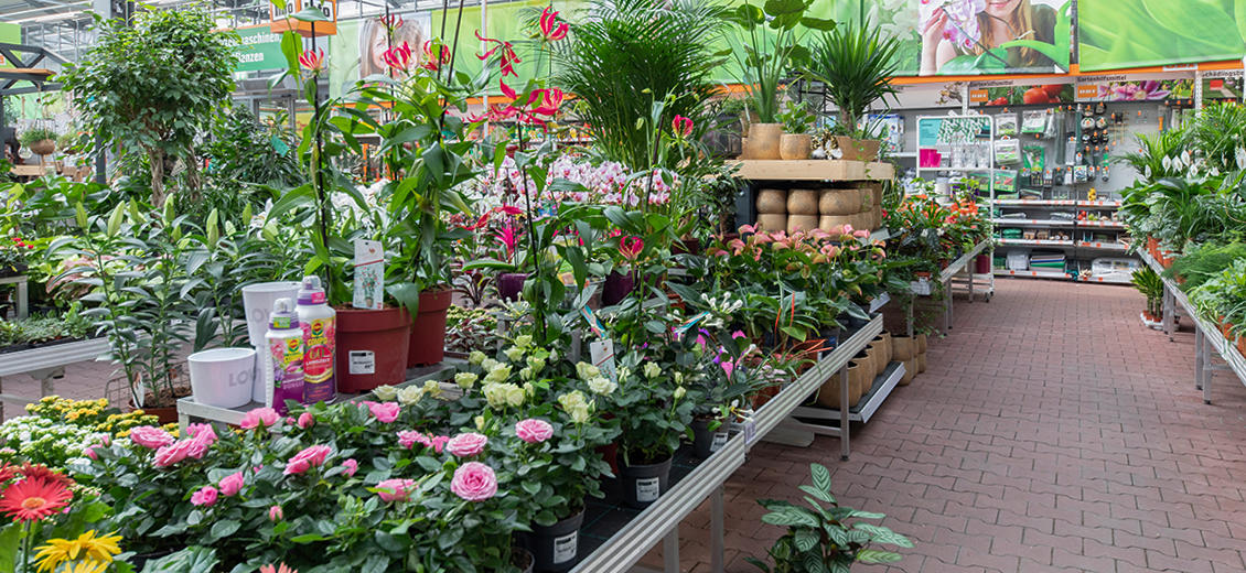 OBI Gartencenter Hückelhoven