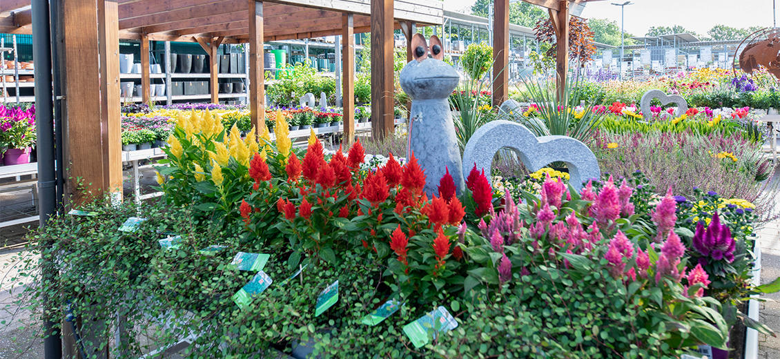 OBI Gartencenter Kempen