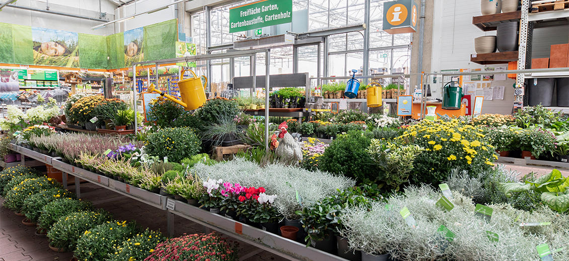 OBI Gartencenter Bonn-Nord