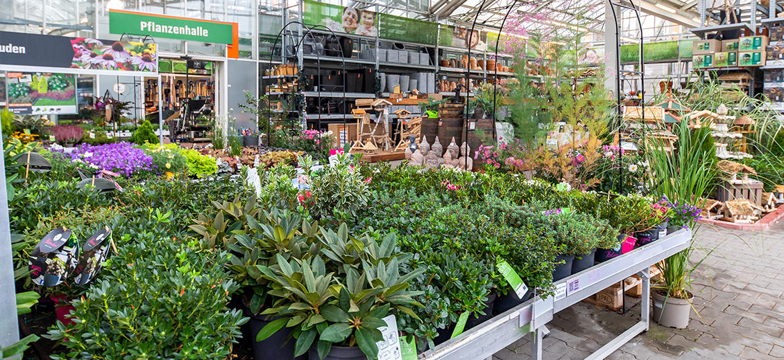 OBI Gartencenter Kamp Lintfort