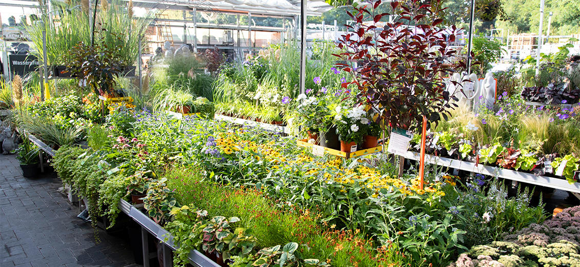 OBI Gartencenter Bitterfeld