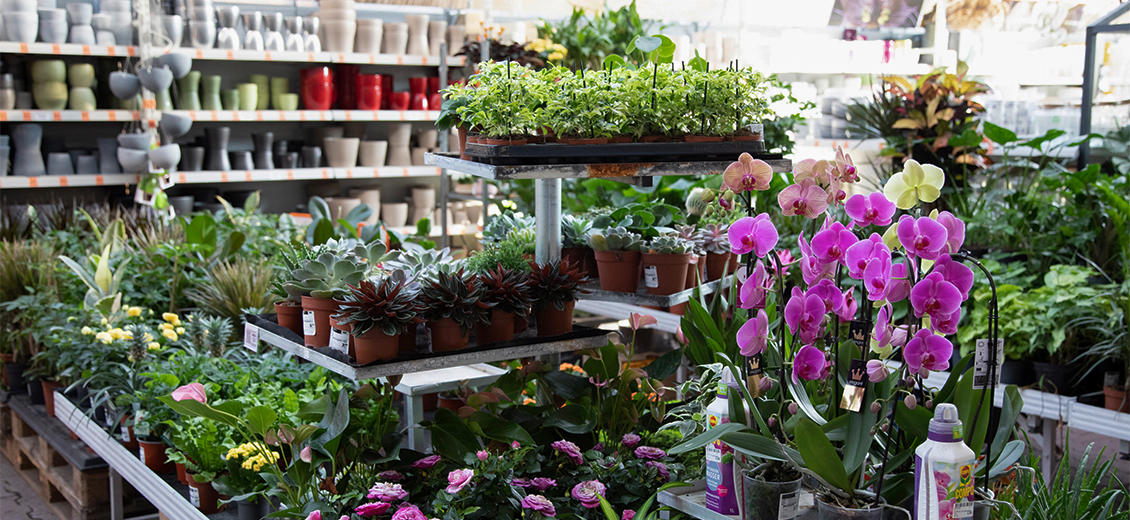 OBI Gartencenter Oschatz