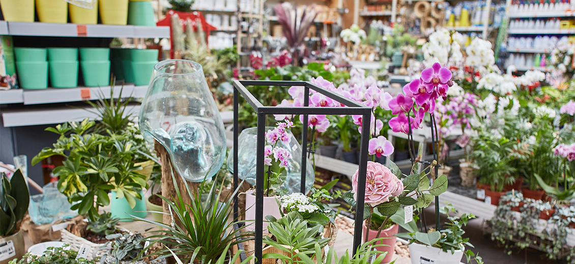 OBI Gartencenter Greding