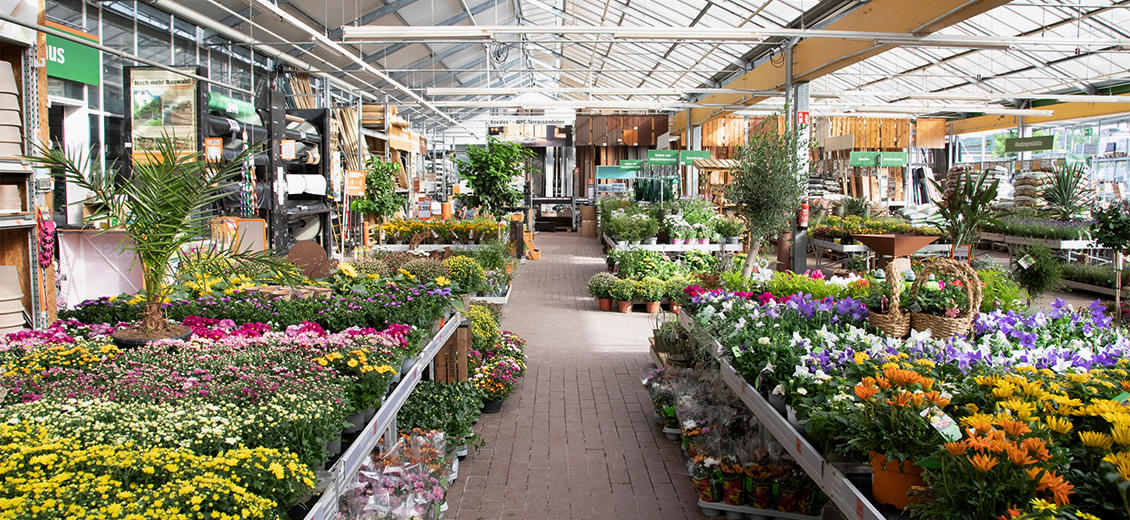 OBI Gartencenter Sangerhausen