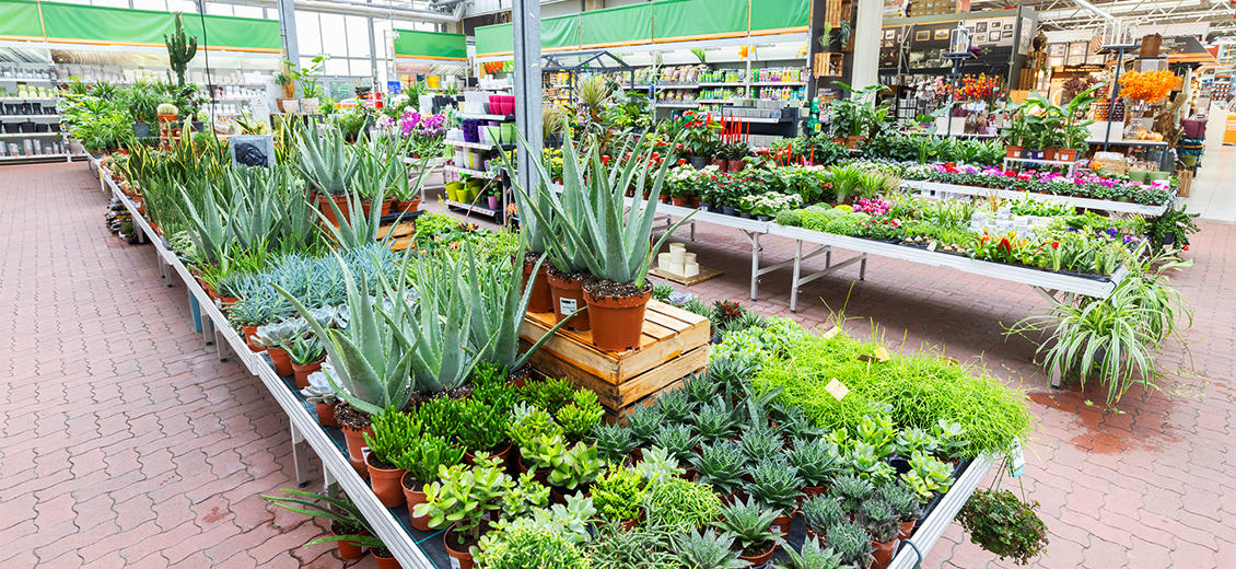 OBI Gartencenter Alfter