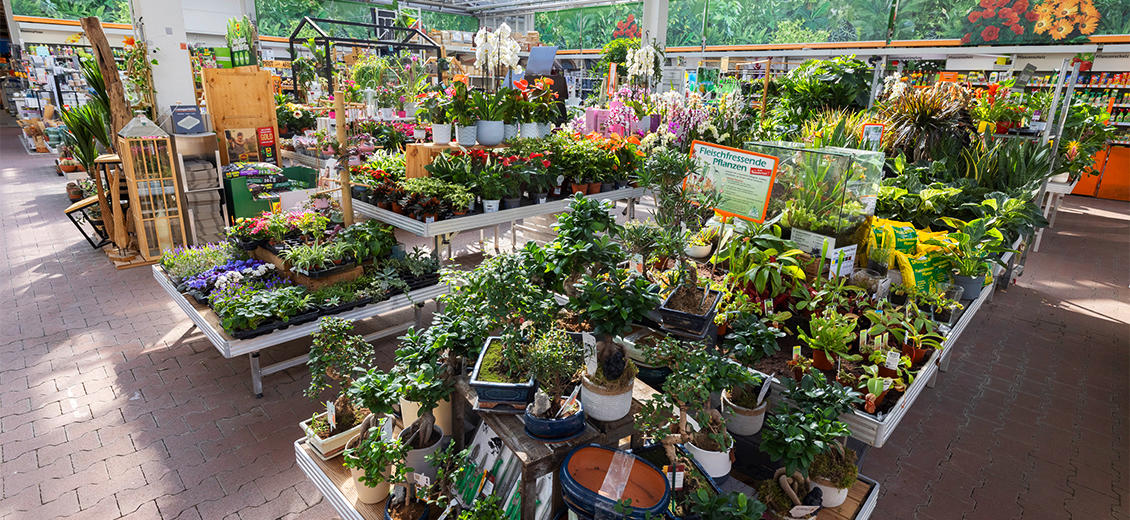 OBI Gartencenter Bielefeld-Nord