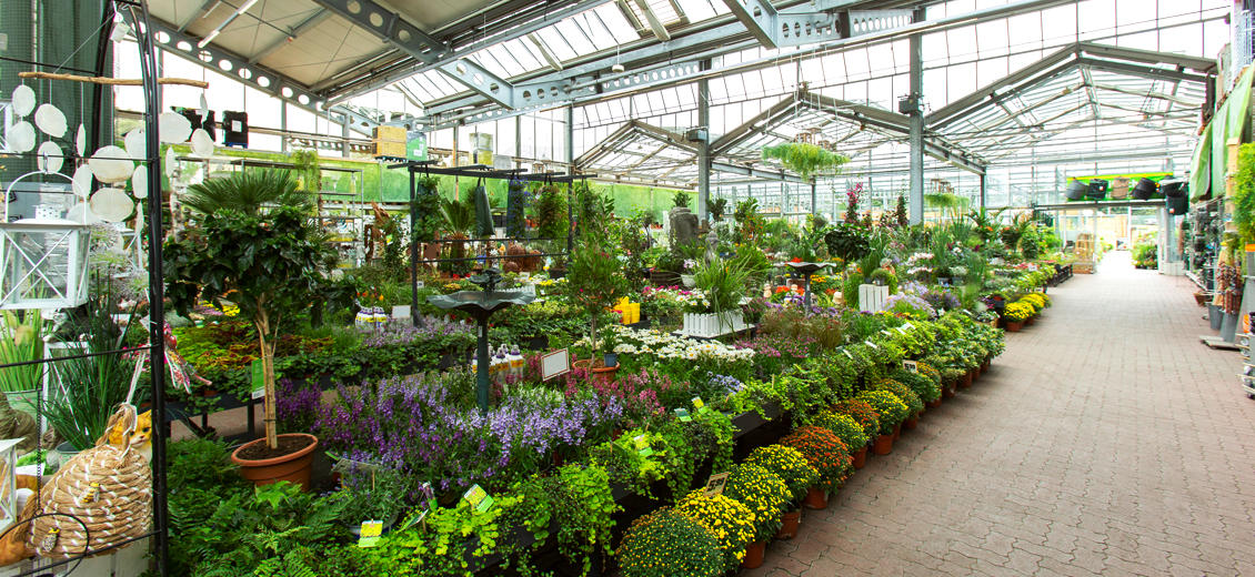 OBI Gartencenter Winsen