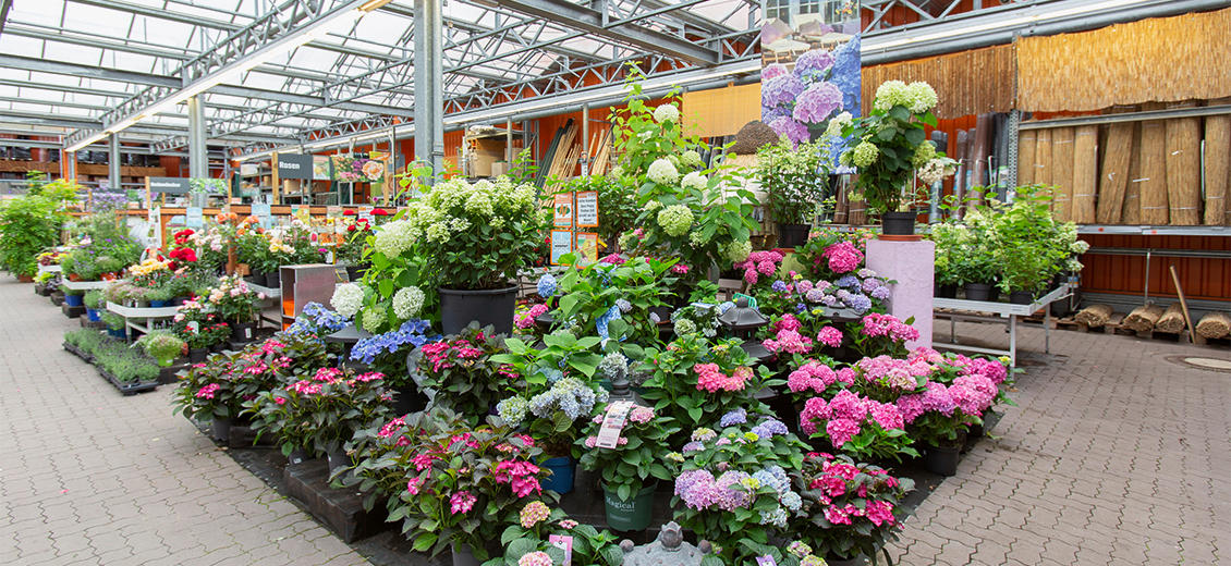 OBI Deko-Abteilung Buchholz