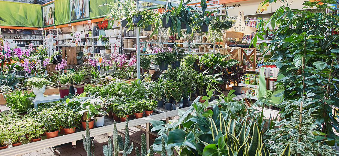OBI Gartencenter Jettingen-Scheppach