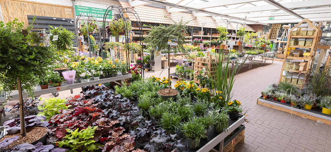 OBI Gartencenter Borken