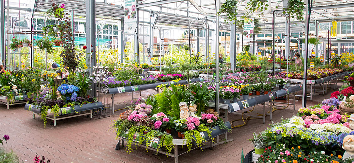 OBI Gartencenter Eisenach