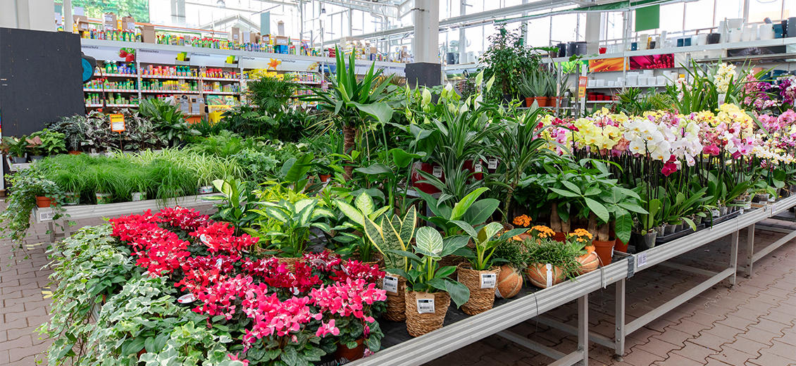 OBI Gartencenter Hattingen