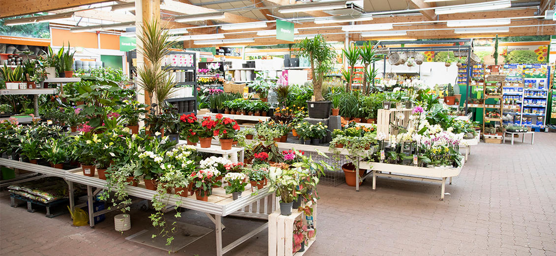 OBI Gartencenter Neubrandenburg Nord