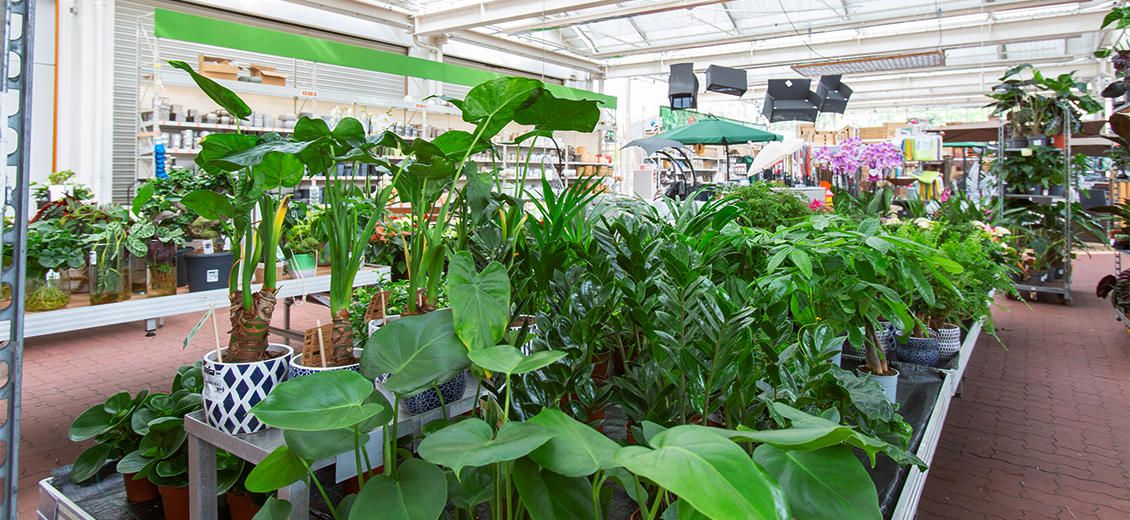 OBI Gartencenter Posthausen