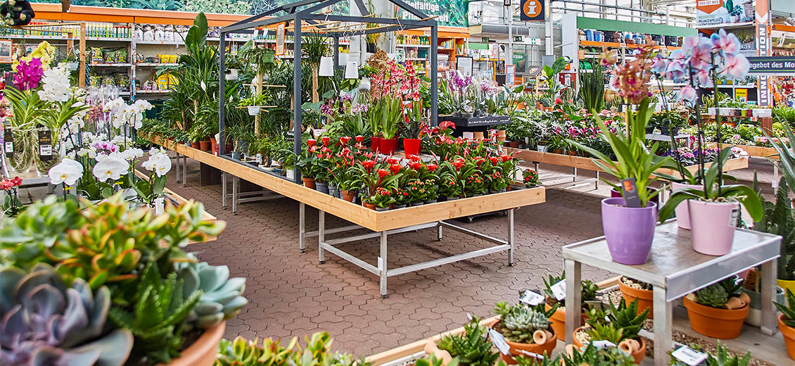 OBI Gartencenter Aichach-Ecknach