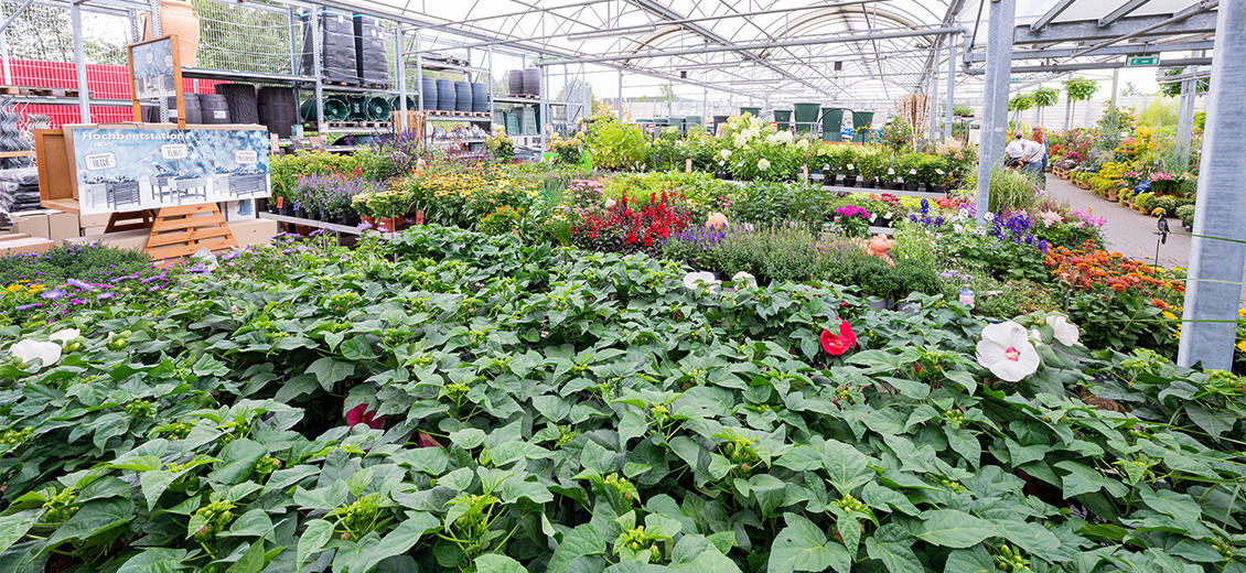 OBI Gartencenter Fürth