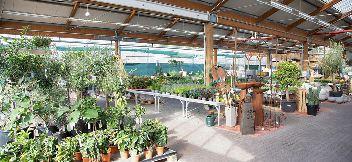 OBI Gartencenter Bad Freienwalde