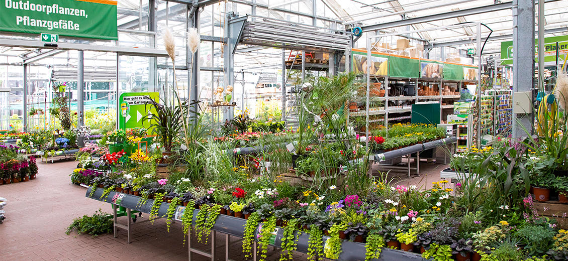 OBI Gartencenter Eisenach