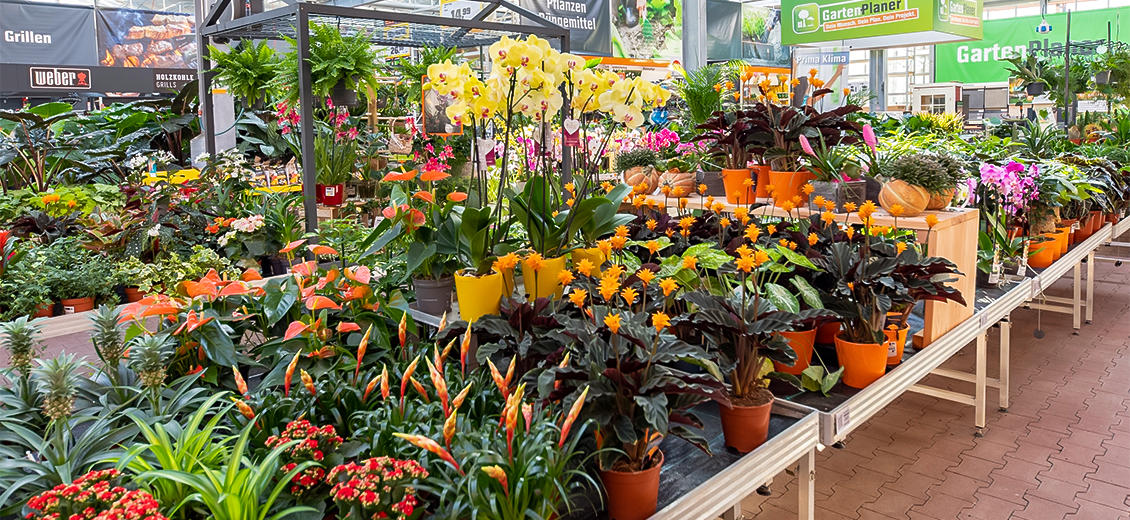 OBI Gartencenter Eschweiler