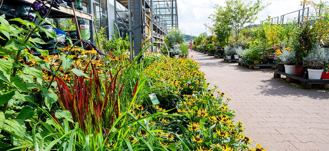 OBI Gartencenter Naila