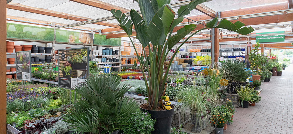 OBI Gartencenter Königswinter