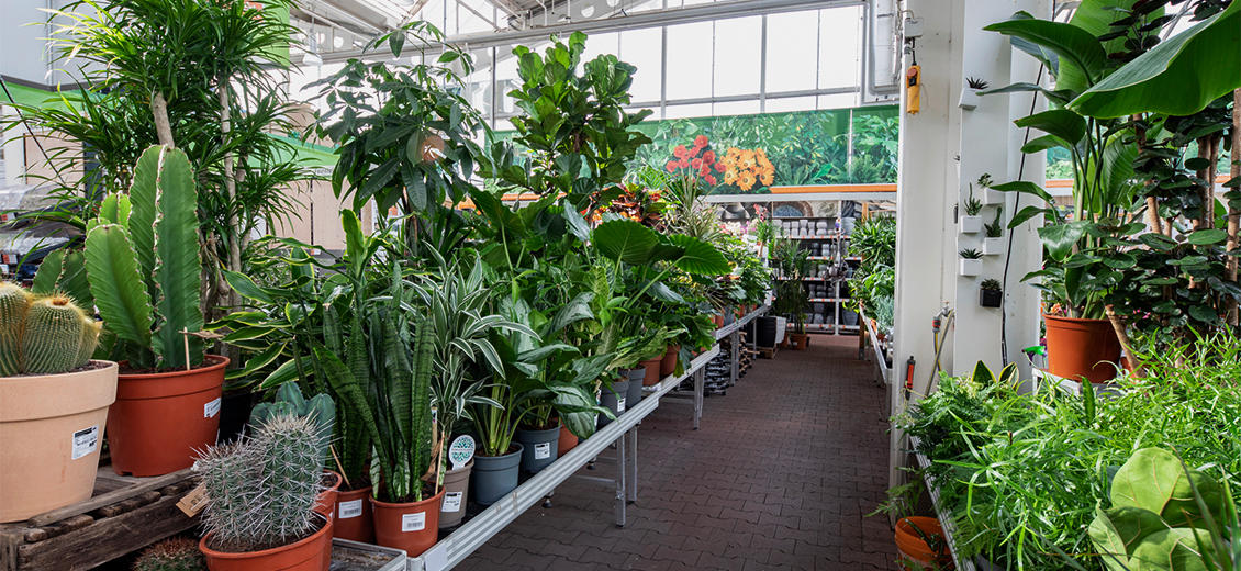 OBI Gartencenter Leverkusen