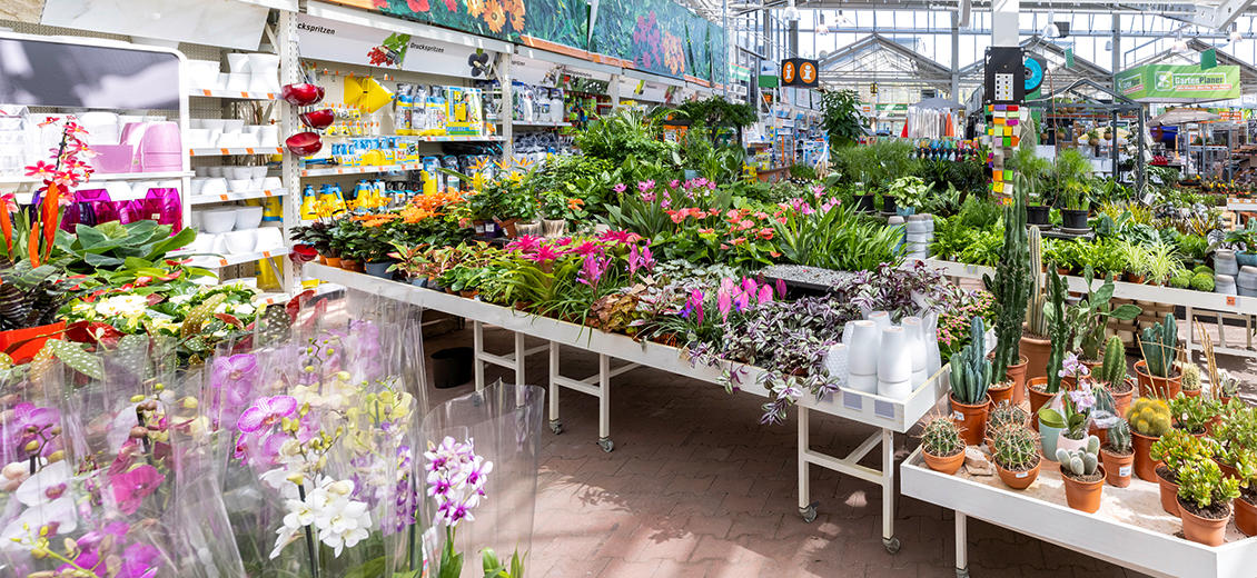 OBI Gartencenter Lüdenscheid