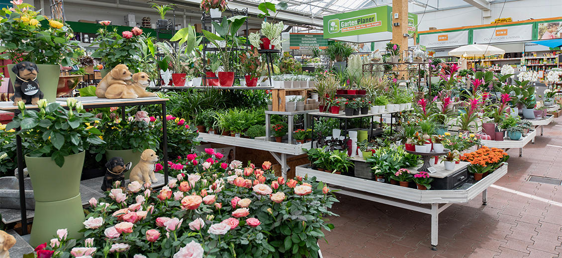 OBI Gartencenter Konstanz