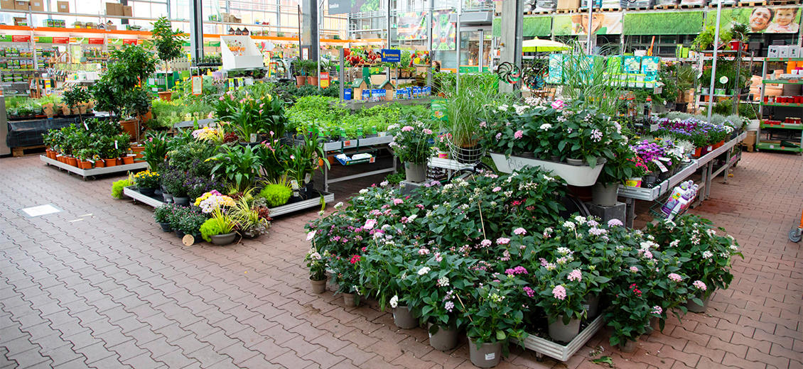 OBI Gartencenter Zwickau