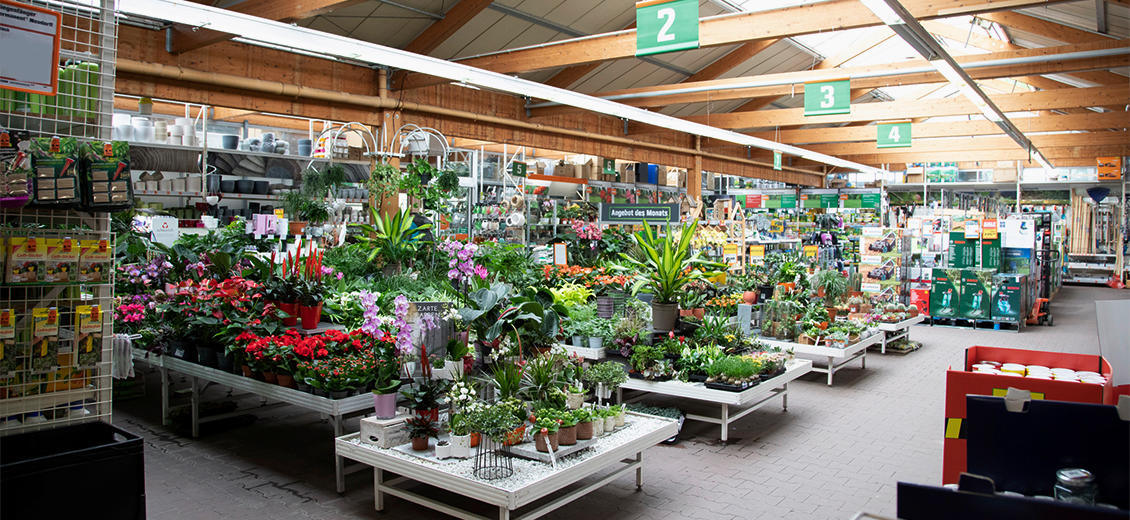 OBI Gartencenter Luebben