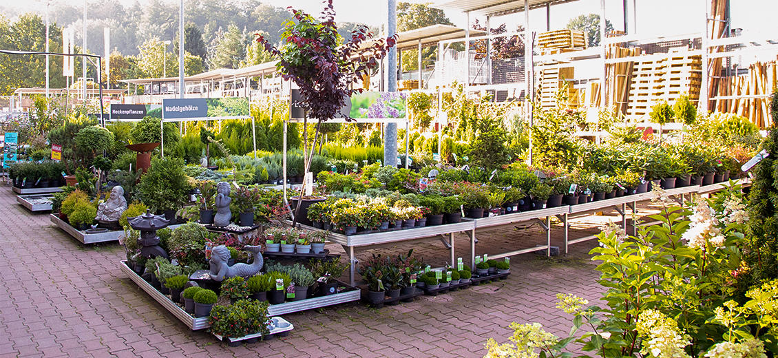 OBI Gartencenter Dresden Weißig