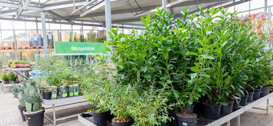 OBI Gartencenter Hattingen