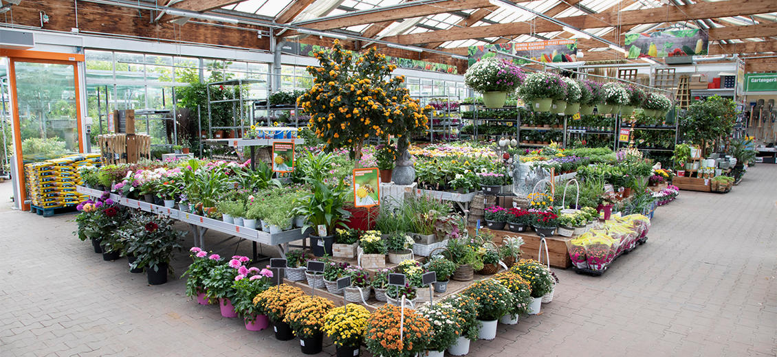 OBI Gartencenter Neuruppin