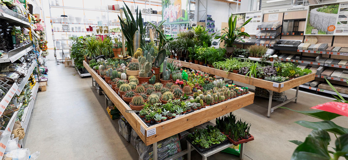 OBI Gartencenter Freistadt
