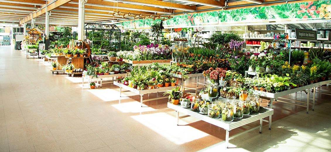 OBI Gartencenter Halle