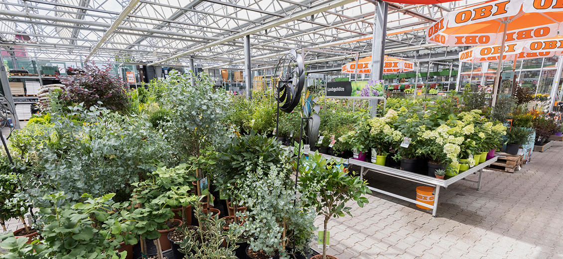 OBI Gartencenter Worms