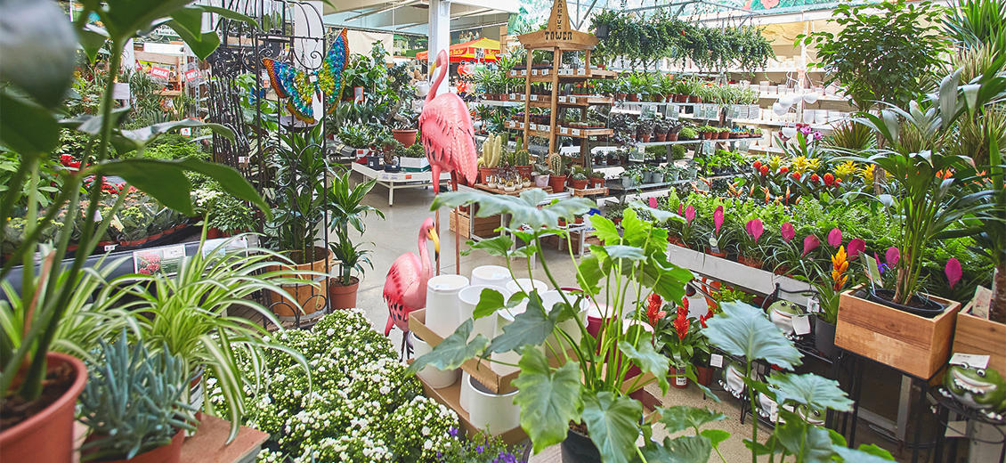 OBI Gartencenter Lindau