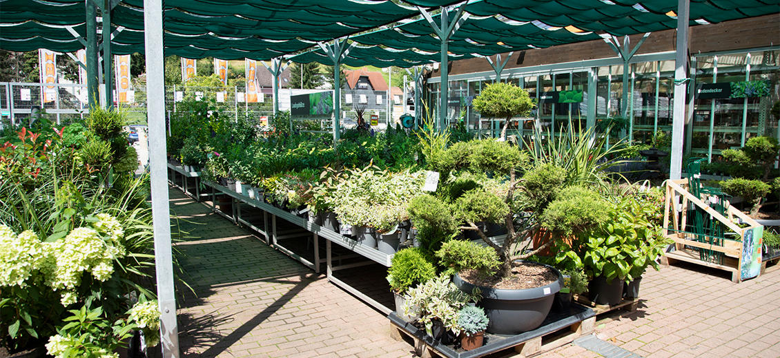 OBI Gartencenter Schleusingen