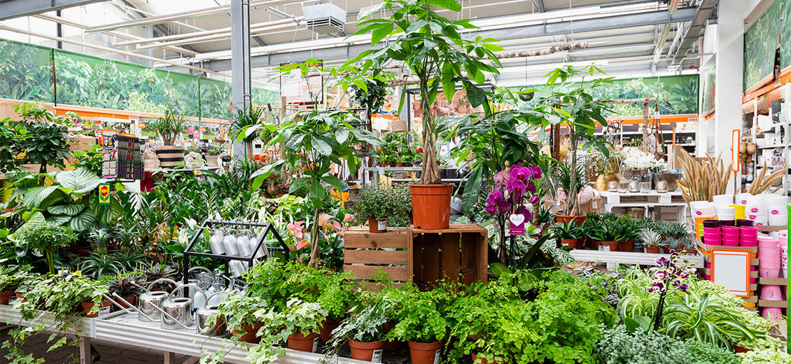 OBI Gartencenter Weiden