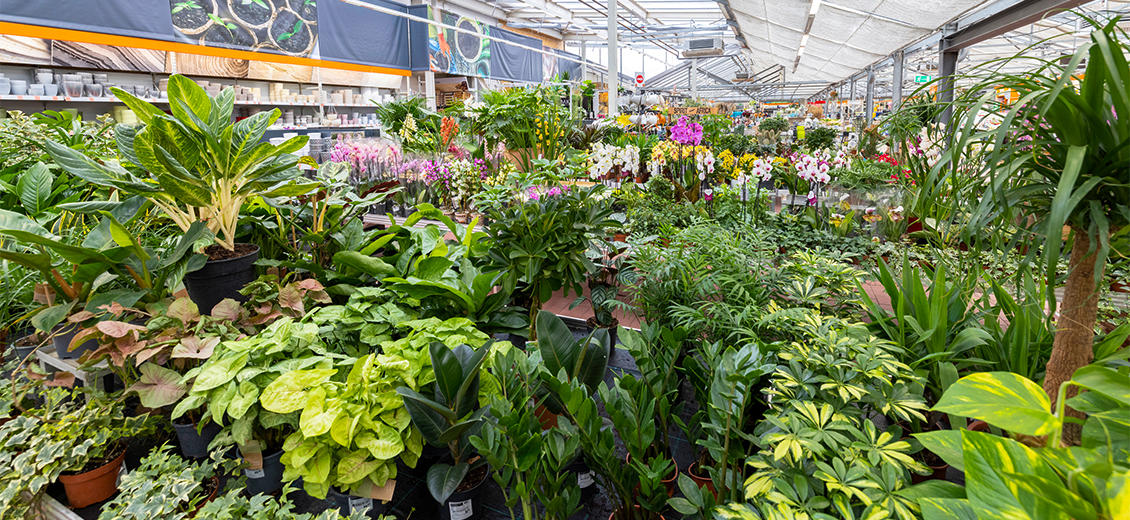 OBI Gartencenter Ravensburg