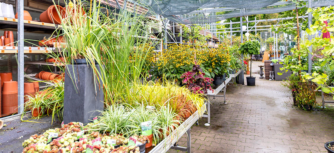 OBI Gartencenter Isny