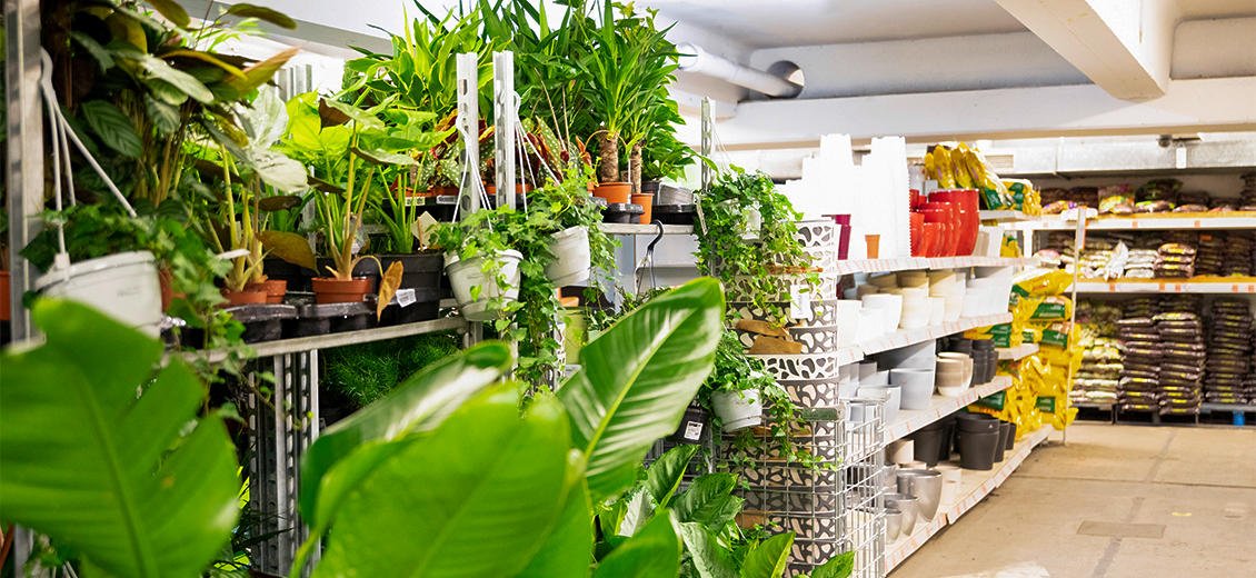 OBI Gartencenter Berlin-Wedding