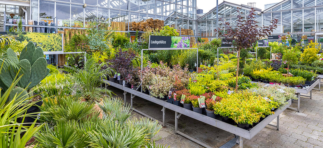 OBI Gartencenter Bonn-Süd