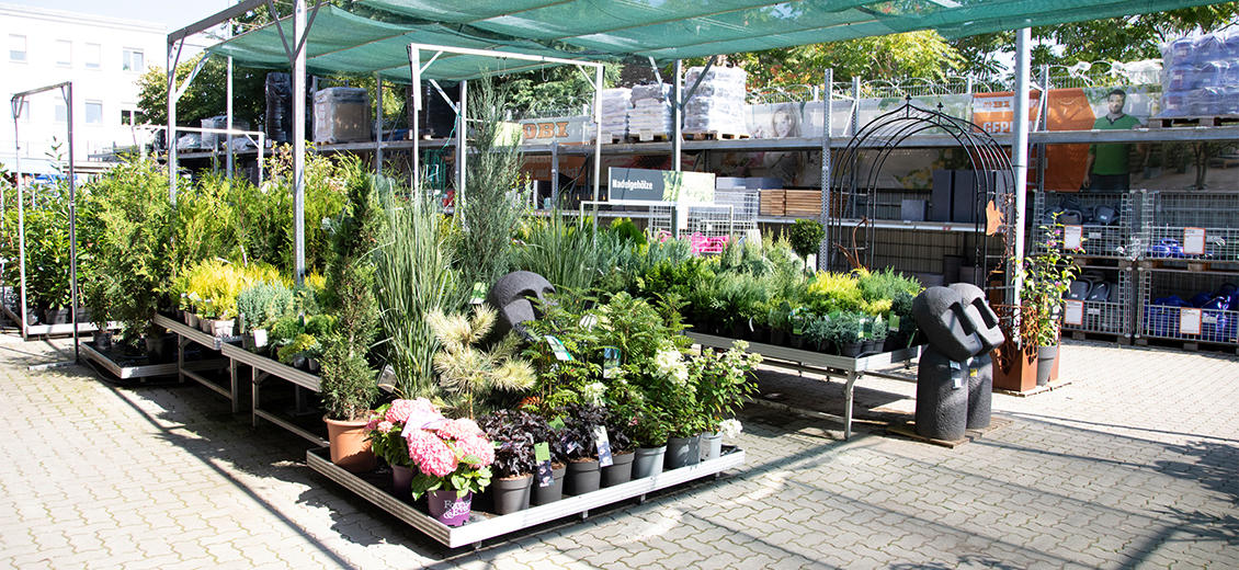 OBI Gartencenter Wittenberg