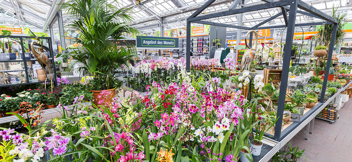 OBI Gartencenter Eisenhüttenstadt
