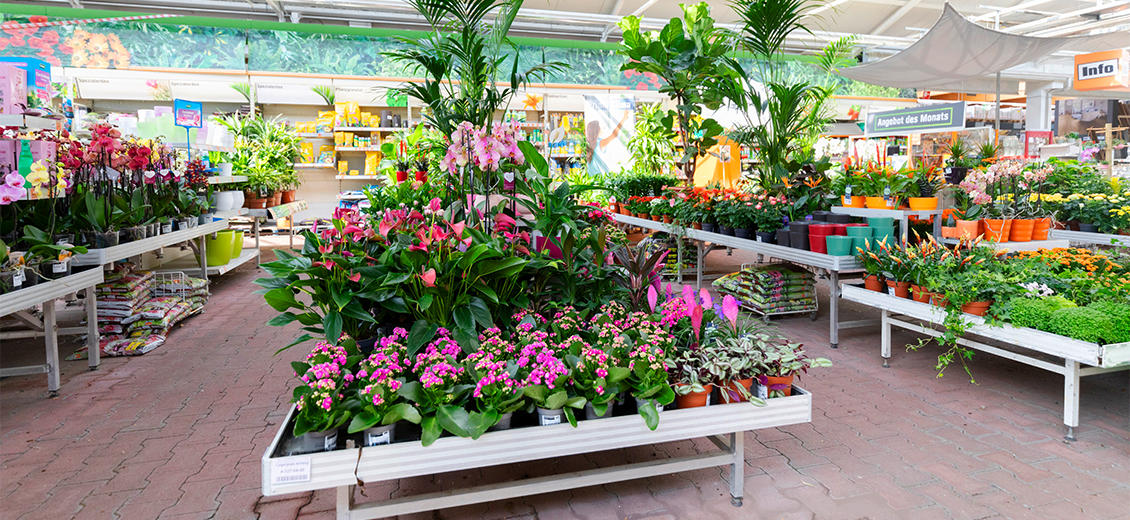 OBI Gartencenter Breisach