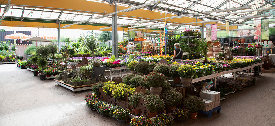 OBI Gartencenter Sangerhausen
