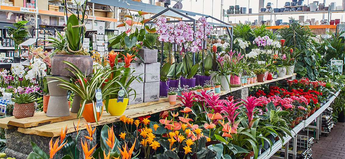 OBI Gartencenter Pocking